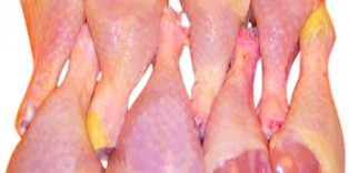 chile-halal-pollo-halal
