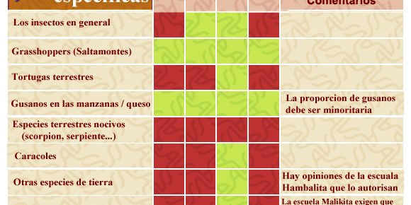 chile-halal-chile-islamico