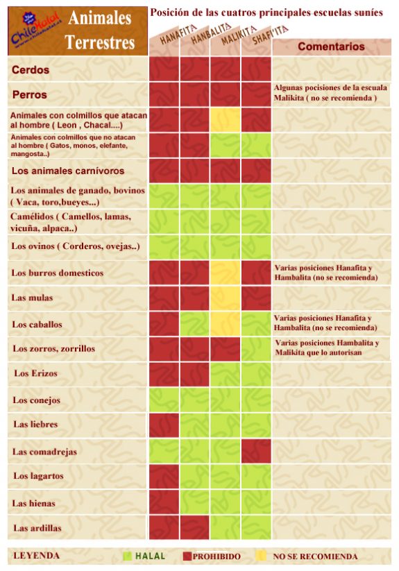 halal-animales-chile-halal