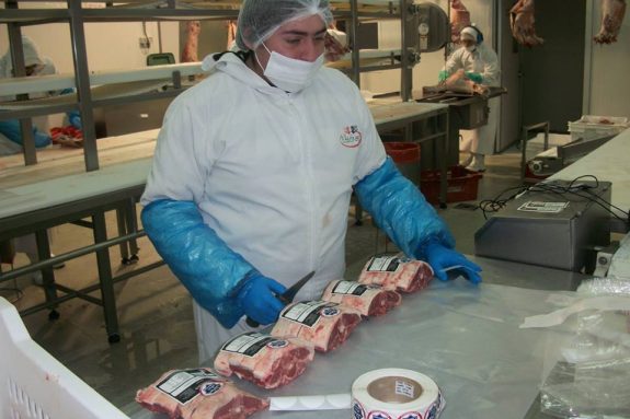 PROCARNE CHILEHALAL 10