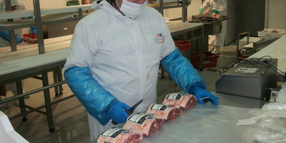 PROCARNE CHILEHALAL 10